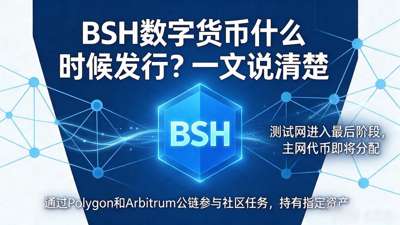 BSH数字货币什么时候发行？一文说清楚